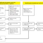 Figura 1