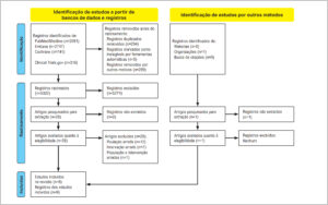 Figura 1
