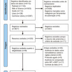 Figura 1