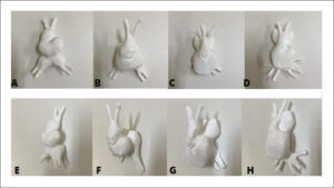 Figura 3