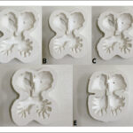 Figura 4