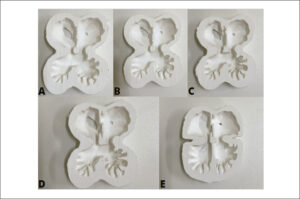 Figura 4