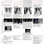 Figura 1