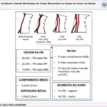 Figura Central