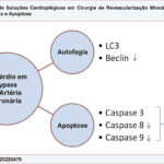 Figura Central