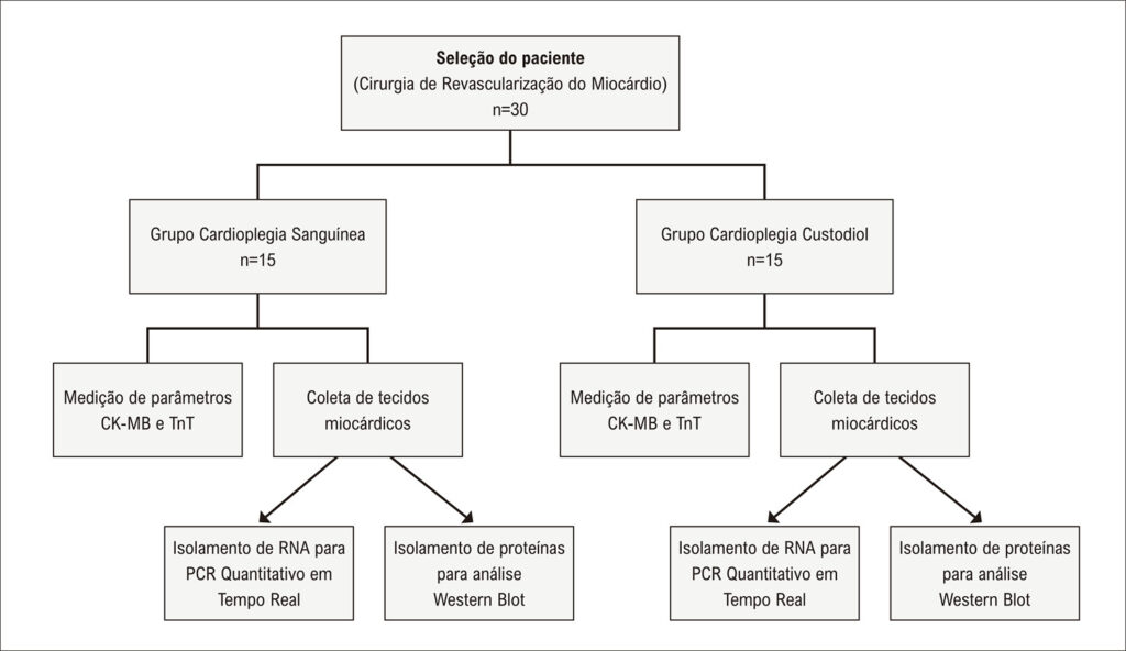 Figura 1