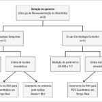 Figura 1