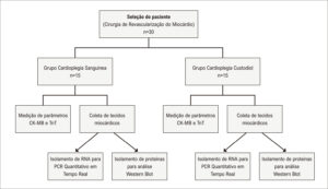 Figura 1