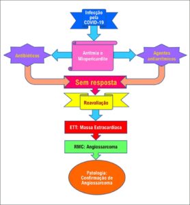 Figura 6