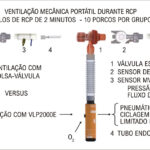 Figura 1