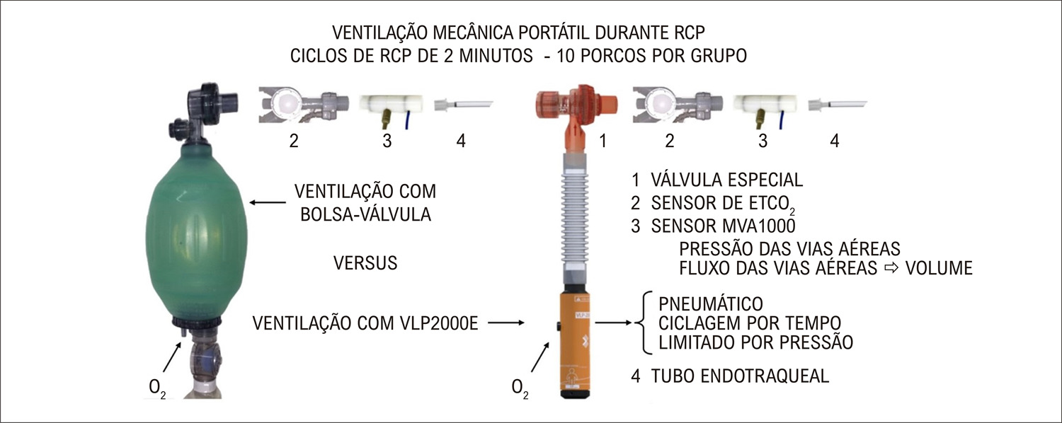 Figura 1