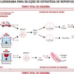 Figura 10.4