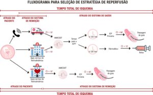 Figura 10.4