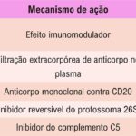 Figura 11.2