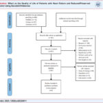 PRISMA 2009 Flow Diagram.