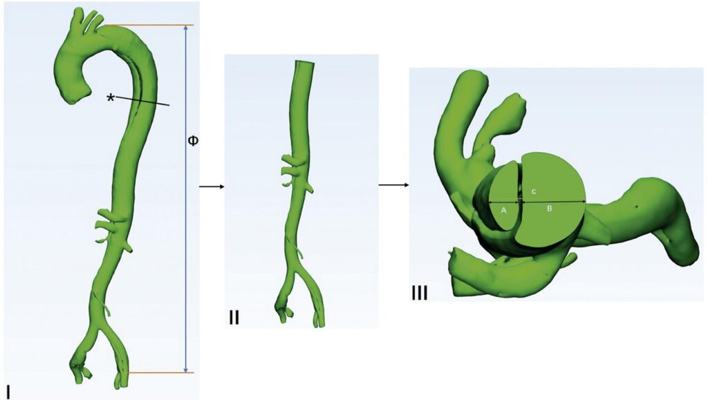 Figura 1