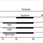 Figura 1
