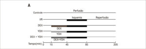 Figura 1