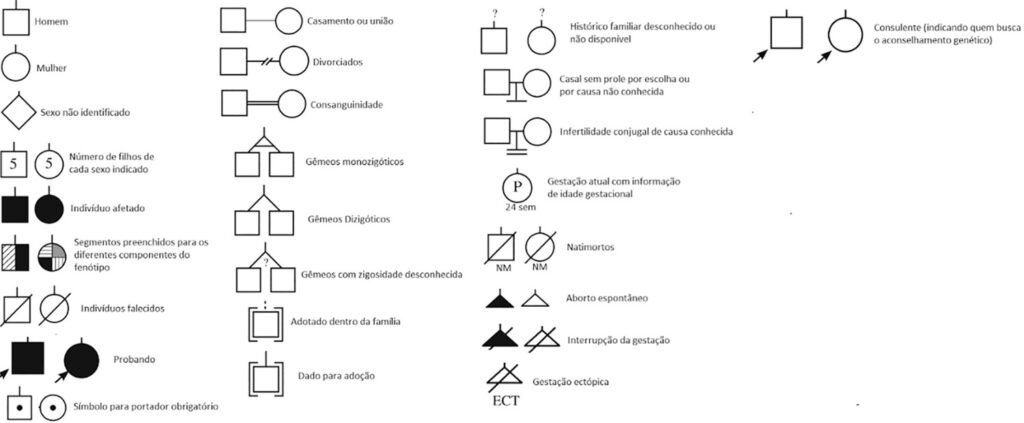 Figura 1