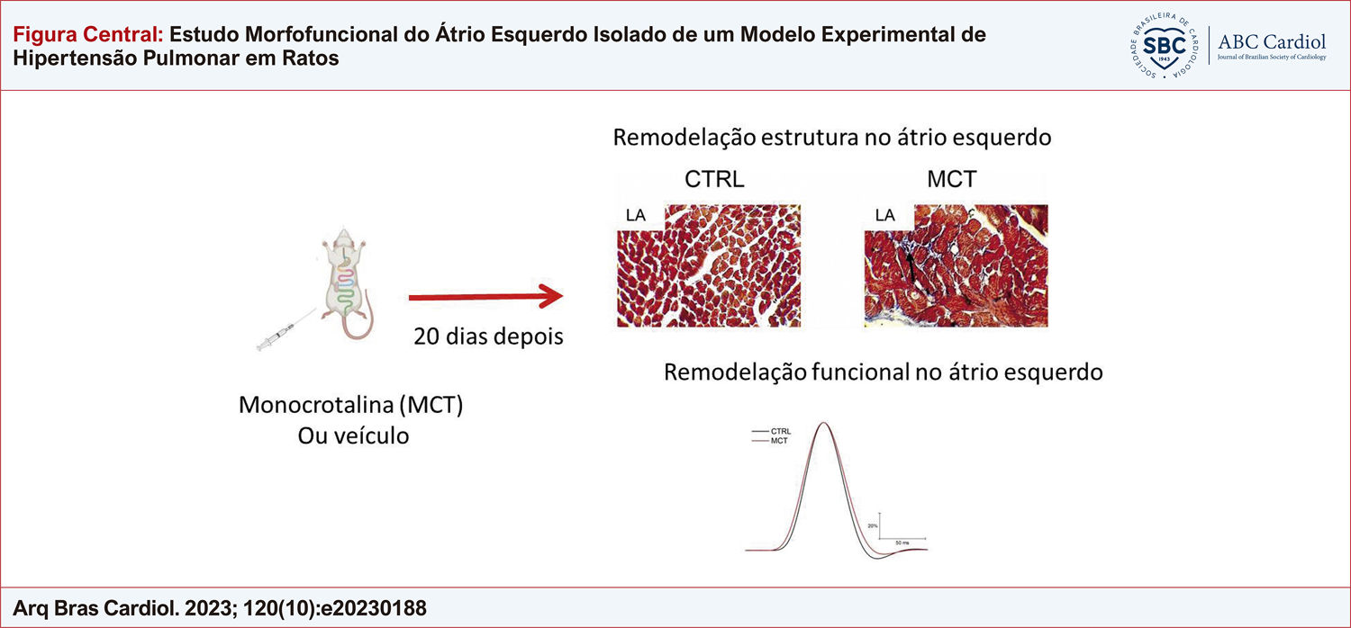 Estudo Morfofuncional do Átrio Esquerdo Isolado de um Modelo Experimental de Hipertensão Pulmonar em Ratos