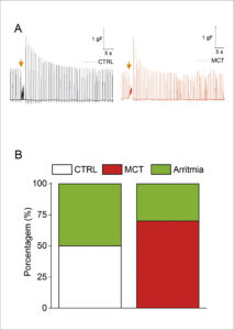 Figura 5