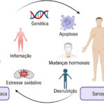 Figura 1
