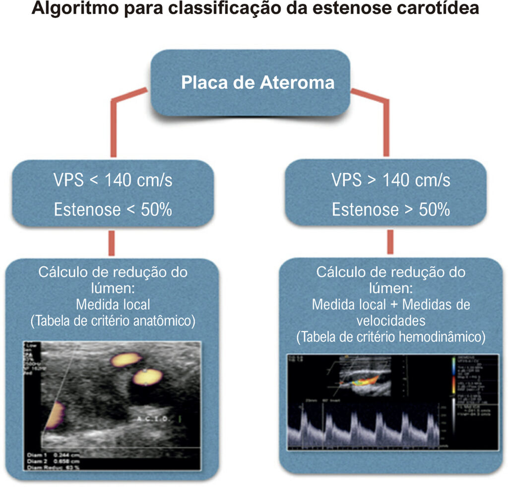 Figura 3