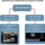 Figura 3