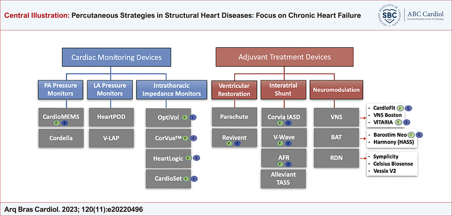 Percutaneous Strategies in Structural Heart Diseases: Focus on Chronic Heart Failure