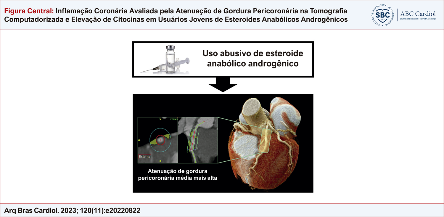 Inflamação Coronária Avaliada pela Atenuação de Gordura Pericoronária na Tomografia Computadorizada e Elevação de Citocinas em Usuários Jovens de Esteroides Anabólicos Androgênicos