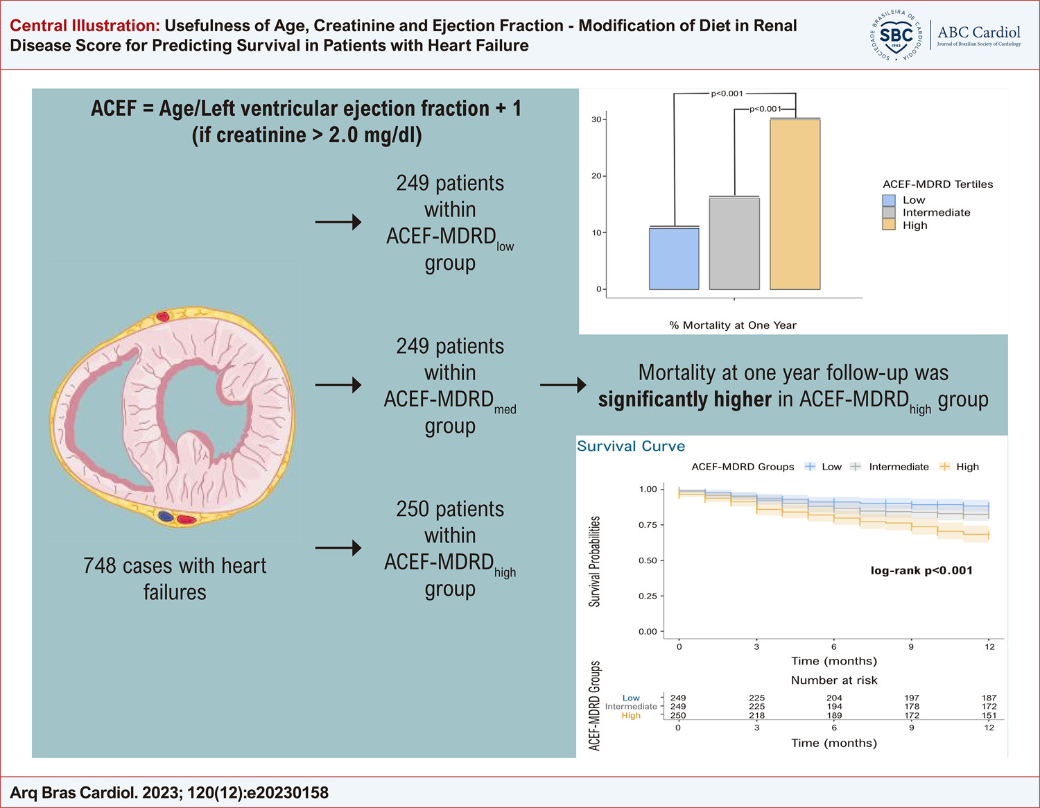 Usefulness of Age, Creatinine and Ejection Fraction - Modification of Diet in Renal Disease Score for Predicting Survival in Patients with Heart Failure