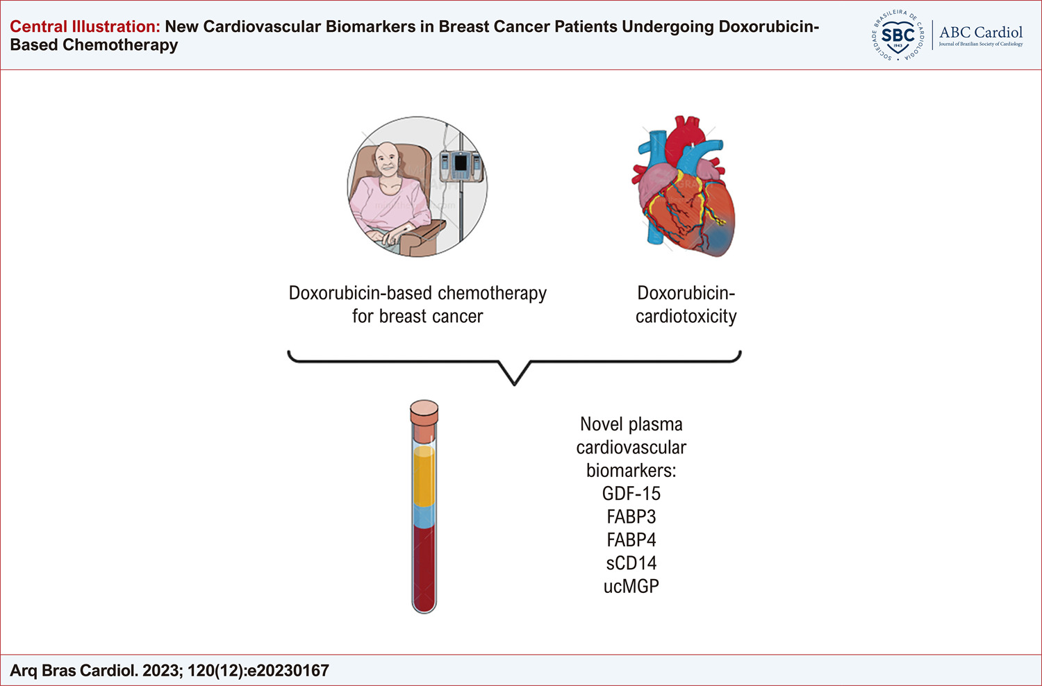 New Cardiovascular Biomarkers in Breast Cancer Patients Undergoing Doxorubicin-Based Chemotherapy