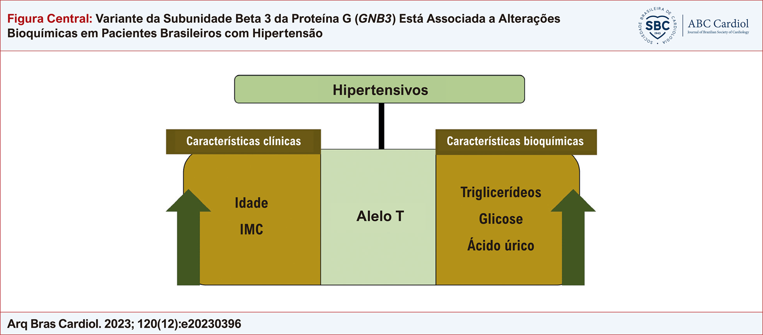 Variante da Subunidade Beta 3 da Proteína G ( GNB3 ) Está Associada a Alterações Bioquímicas em Pacientes Brasileiros com Hipertensão