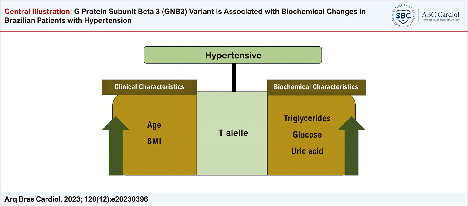 G Protein Subunit Beta 3 (GNB3) Variant Is Associated with Biochemical Changes in Brazilian Patients with Hypertension