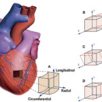 Figure 1.1