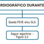 Figura 3.3