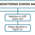 Figure 3.3