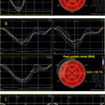 Figure 9.1