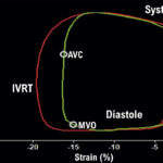 Figure 17.1