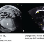 Figura 3