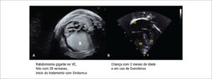 Figura 3
