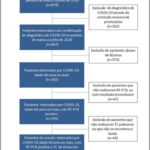 Figura 1