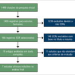 Figura 1