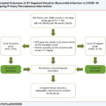 Central Illustration: In-Hospital Outcomes of ST-Segment Elevation Myocardial Infarction in COVID-19 Positive Patients Undergoing Primary Percutaneous Intervention