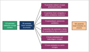 Figura 1