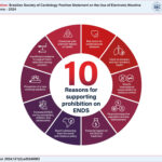 10 Reasons for supporting prohibition on ENDS