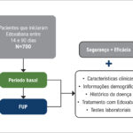 Figura 1