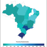 Figura 1