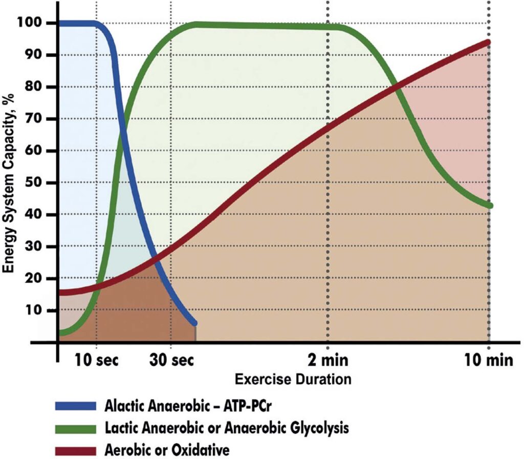 Figure 19