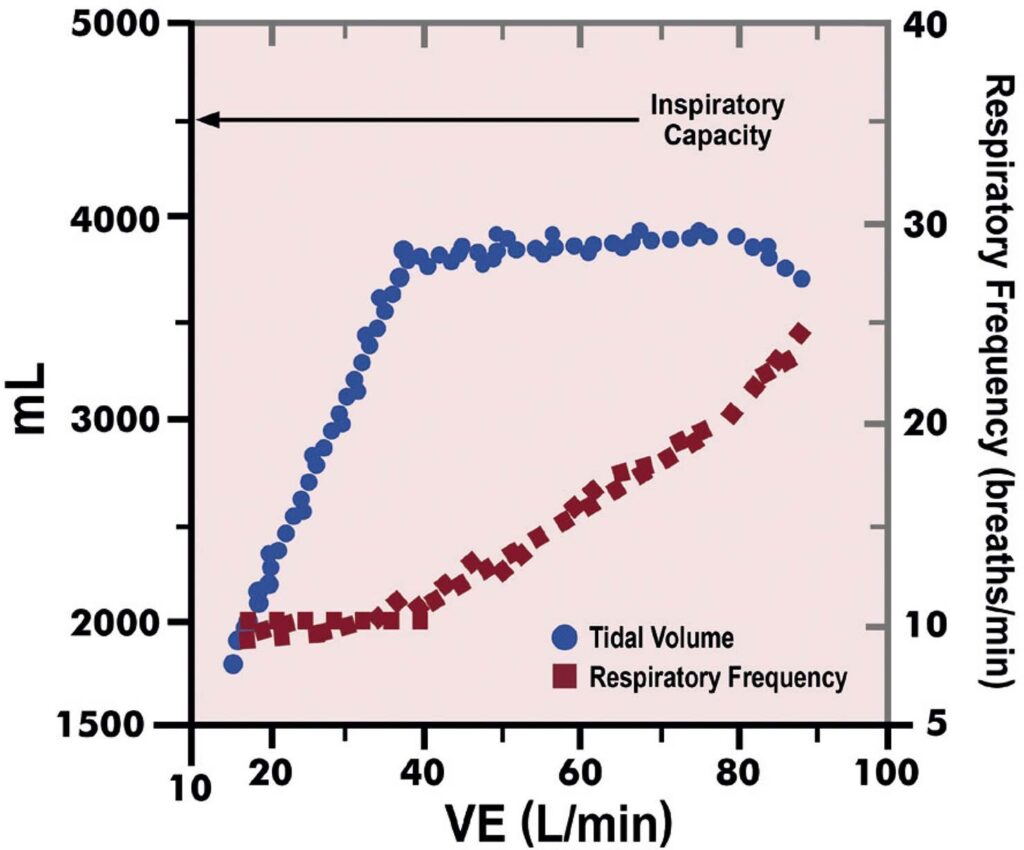 Figure 21